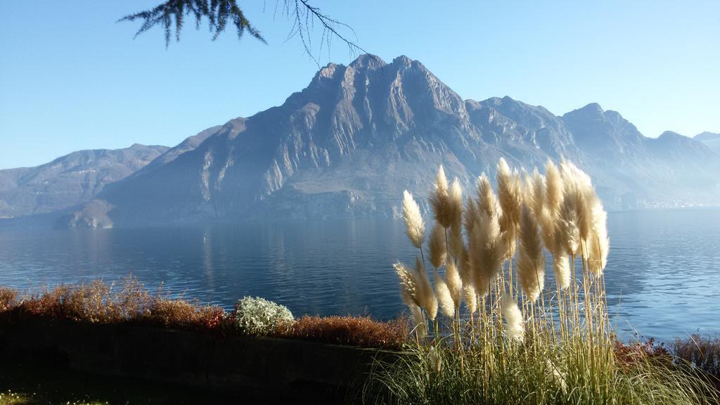 Iseolakerental - Casa Del Pescatore Riva di Solto Eksteriør bilde